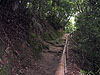 竹の手すりがある山道