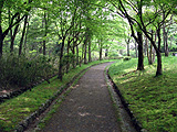 桜の森の外周コース東側
