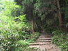 登りの山道