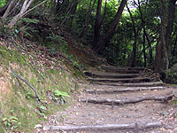 登りの山道