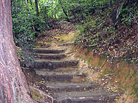 つづら折り登りの山道