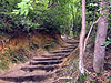 つづら折り登りの山道