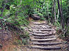 つづら折り登りの山道