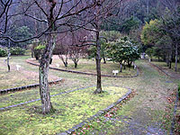 藤井寺教材園