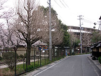 道路に面して立つ観覧席