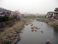 山端橋から上流を見る